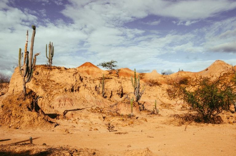 caatinga