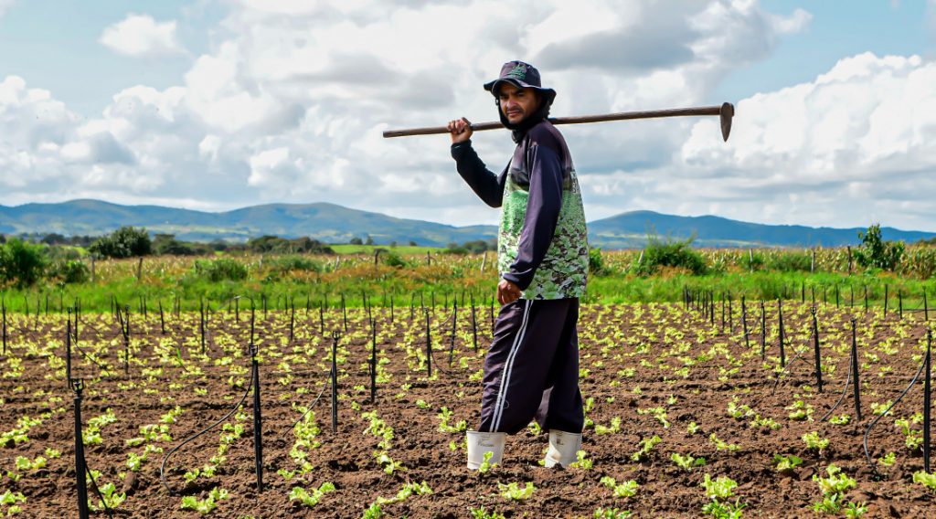 agricultura sergipe