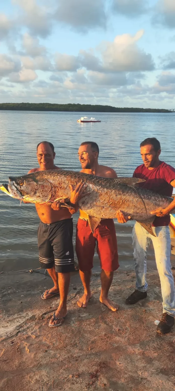 Pescadores exibem peixe capturado no Rio Potengi, em Natal Foto Divulgação