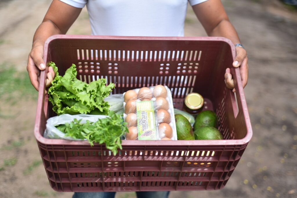 O RN tem ainda a menor proporção de insegurança alimentar grave 4,9% Foto Arquivo Assecom Elisa Elsie