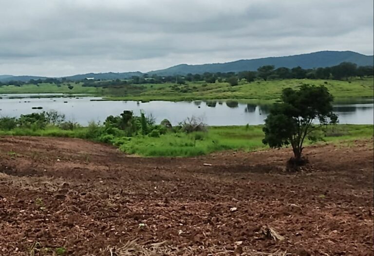 chuva no sertão