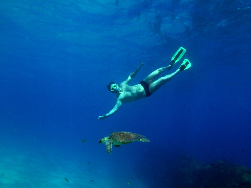 Mergulho Livre em Noronha foto divulgação