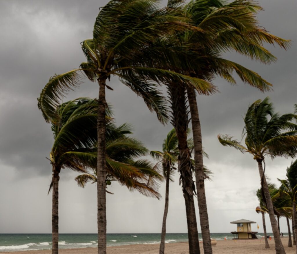 chuva no litoral do nordeste