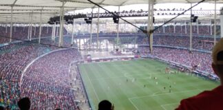 torcida do bahia