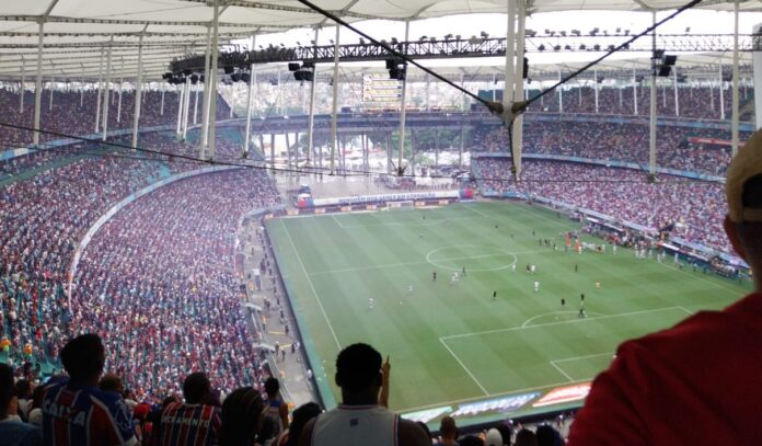 torcida do bahia