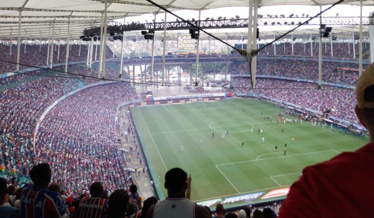 torcida do bahia