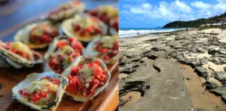 passeio e gastronomia em tibau do sul