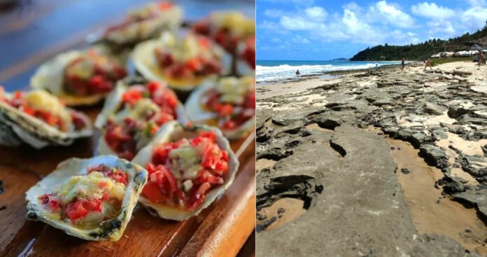 passeio e gastronomia em tibau do sul