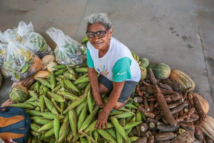 família recebe alimentos do governo do piaui