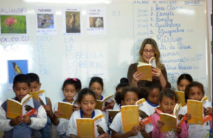 educação básica