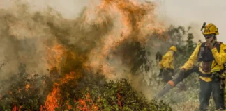 bombeiros combatem incêndio