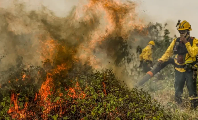 bombeiros combatem incêndio