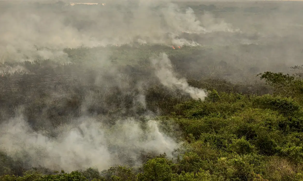 Incêndio atinge o Cerrado de Tocantins