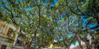 Sabadinho Bom em João Pessoa Foto- Daniel Silva