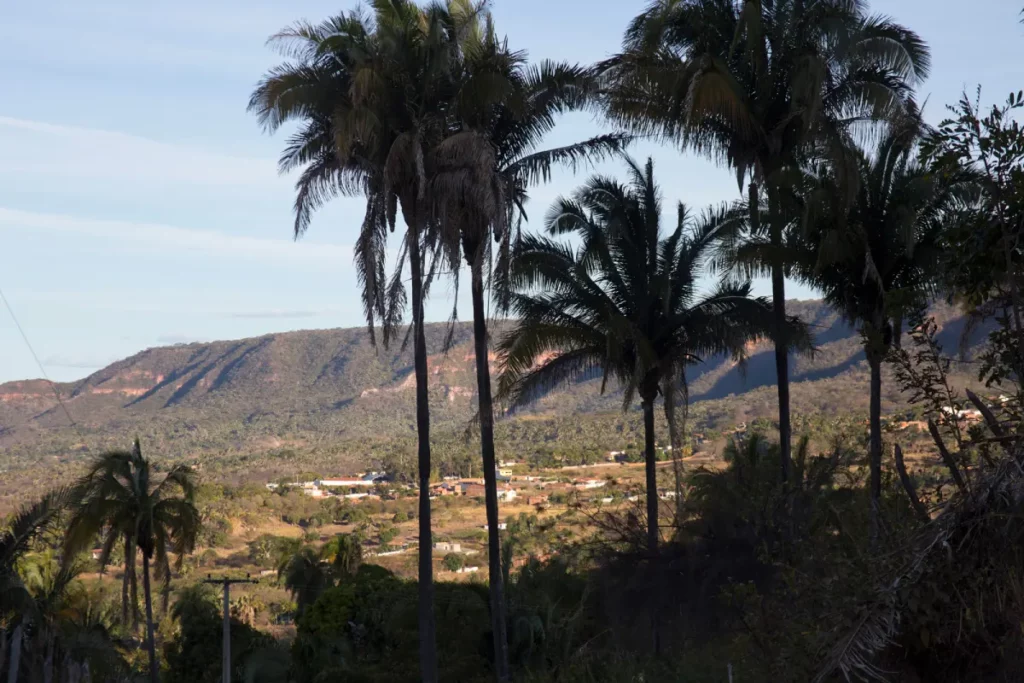 VISTA-PARCIAL-CHAPADA-ARARIPE-CRATO_