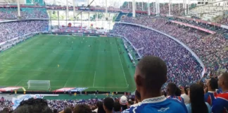 O Bahia contou com o apoio da torcida pra voltar à Libertadores após 35 anos. Foto: Tito Miranda