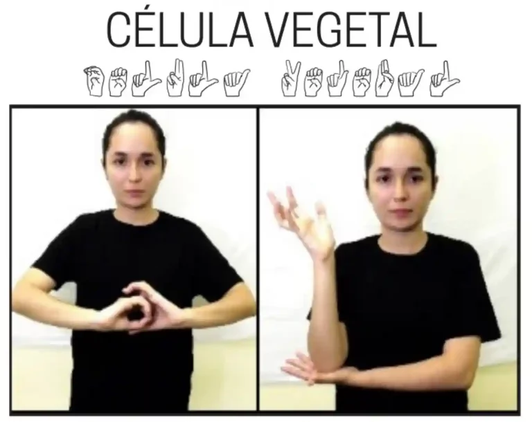 Libras para ciências