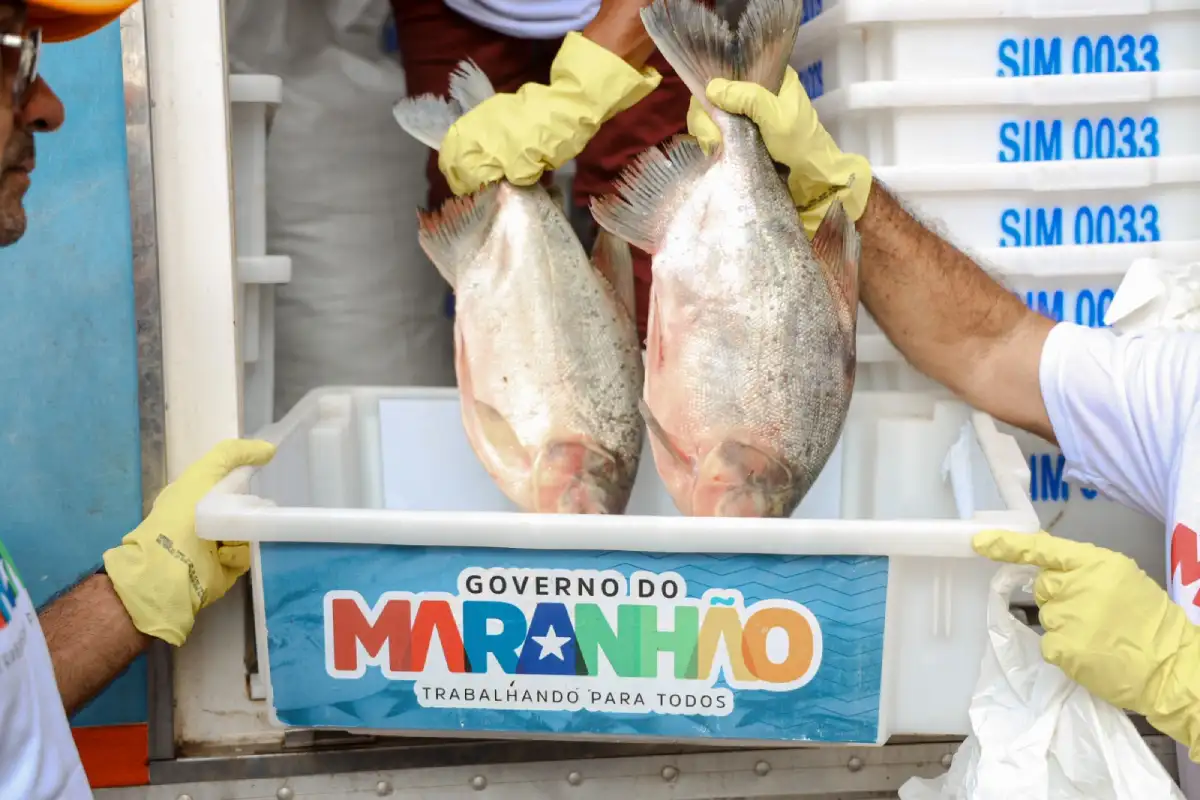 pescado do maranhão