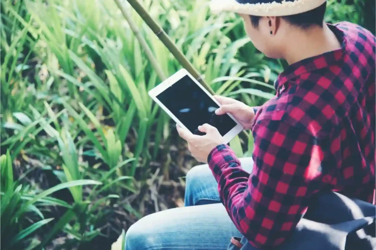 Internet em área rural. Foto: Freepik