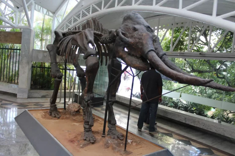 Museu Geologico da Bahia Fotos créditos Mário MarquesSDE