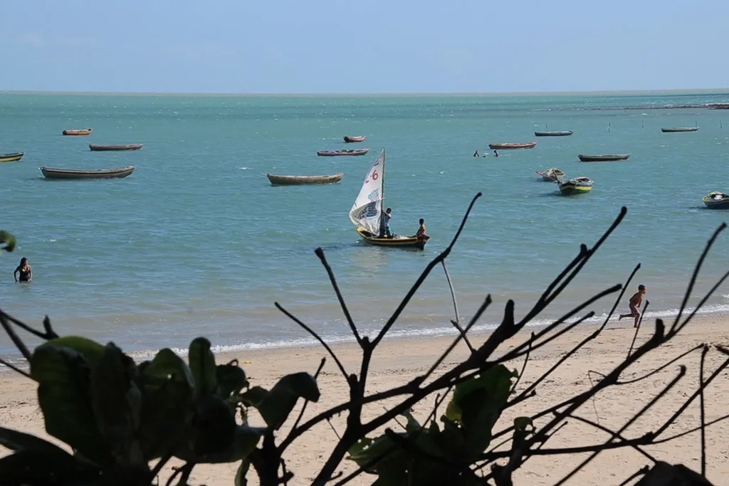 Cajueiro da Praia. Foto: Governo do Piauí