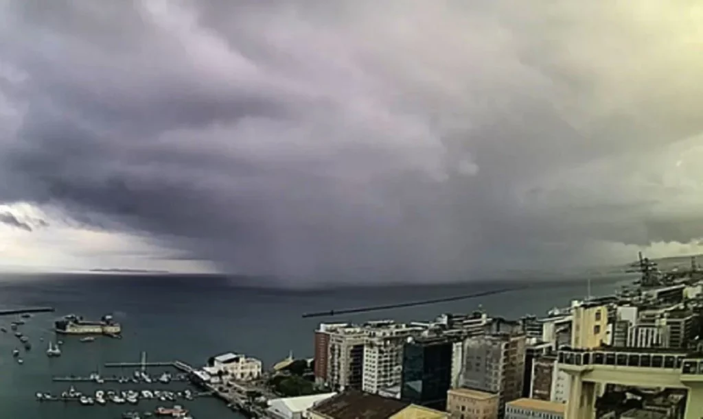 Salvador em Alerta