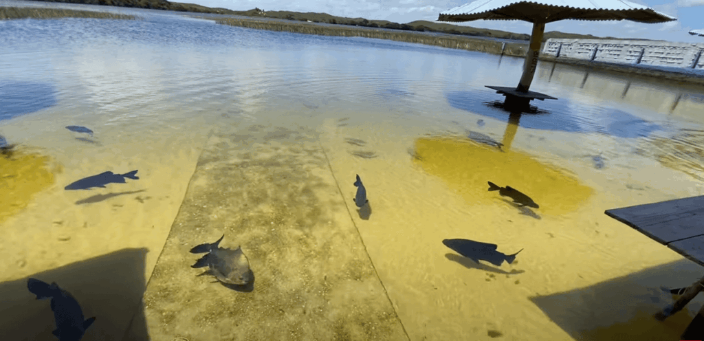 Pesca no Nordeste