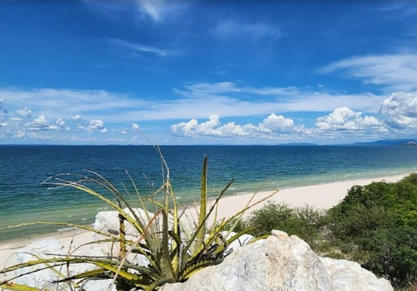 praia do moco foto reprodução