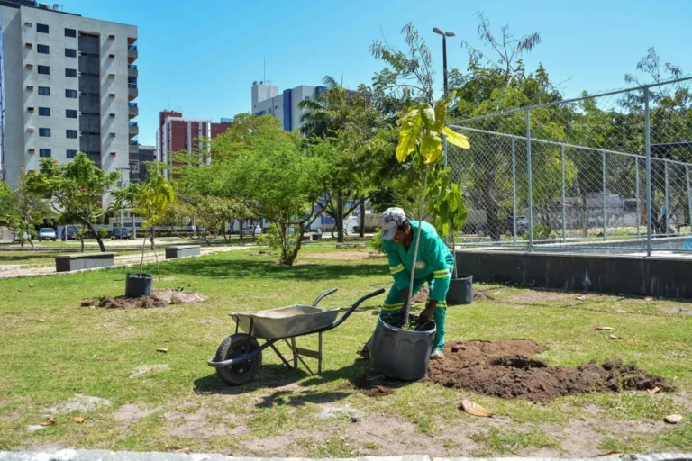 seman_plantacao_agustina_aran_3