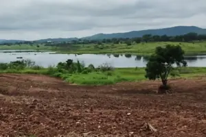 Chuva no Sertão