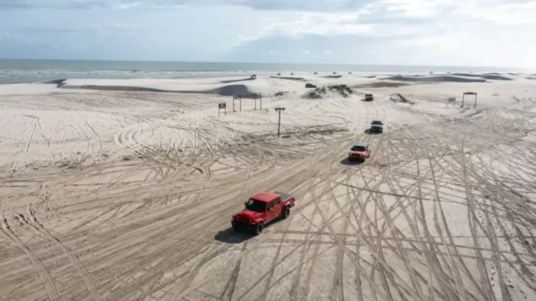 carros na areias da praia em fila