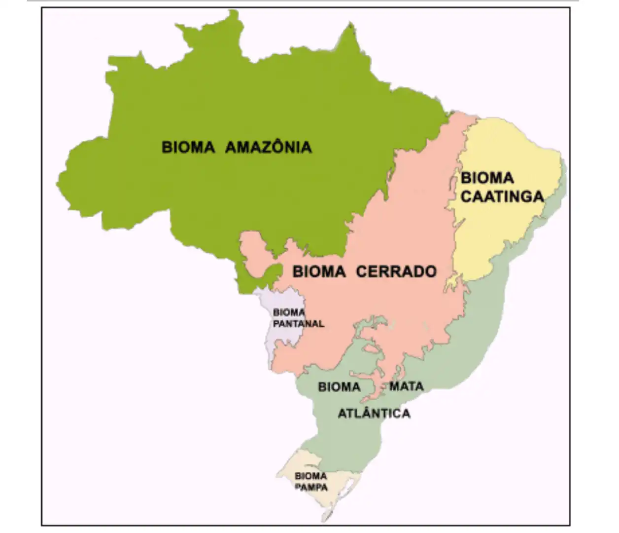 imagem mostra o mapa de biomas do Brasil