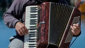 sanfona