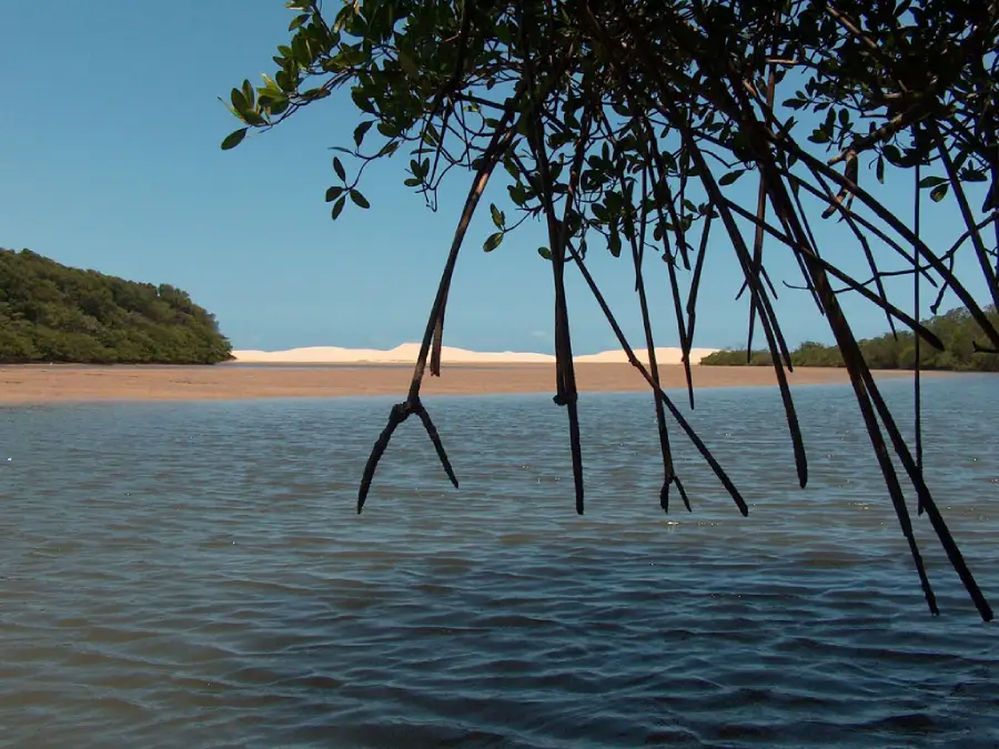 APA Delta do Parnaíba