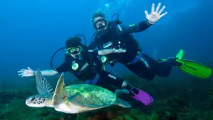 mergulho em noronha