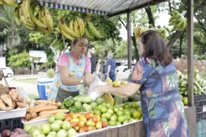 mulheres na feira
