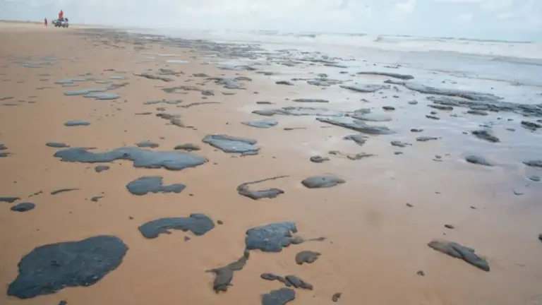 mancha de oleo na praia
