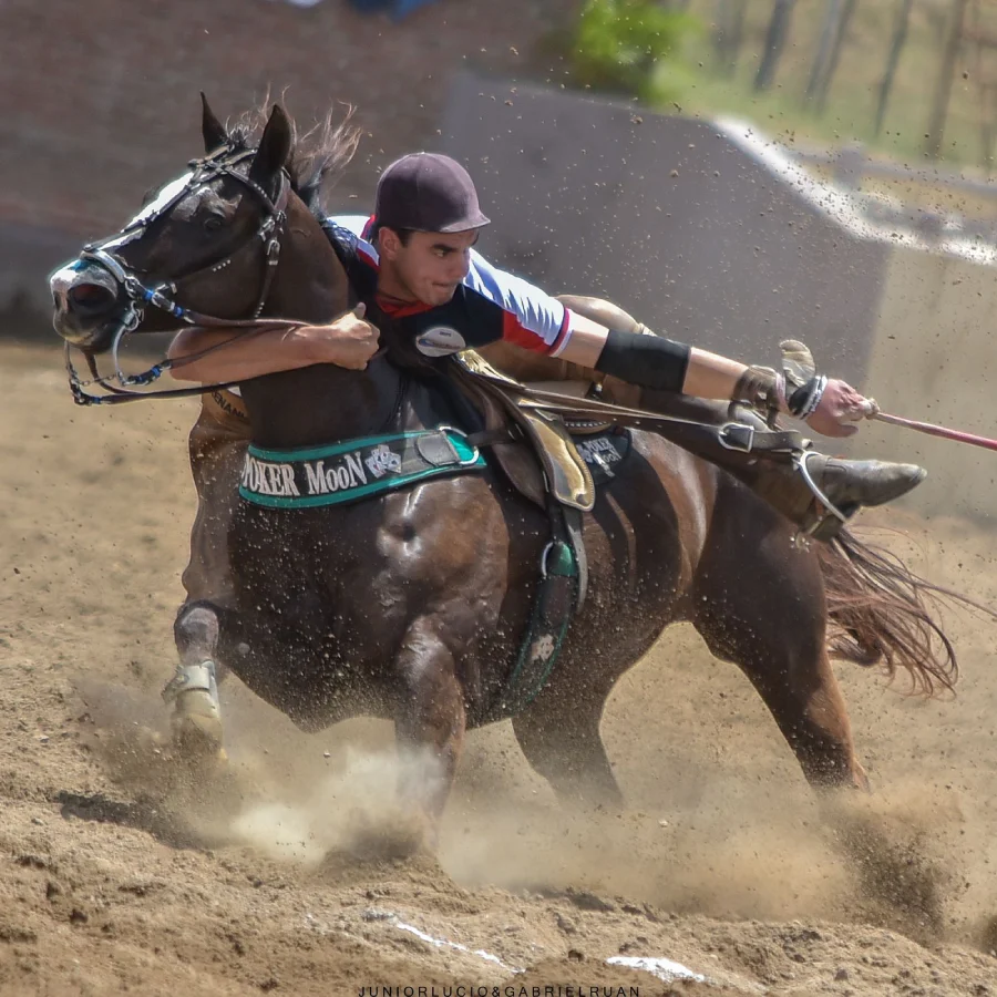 vaqueiro no cavalo
