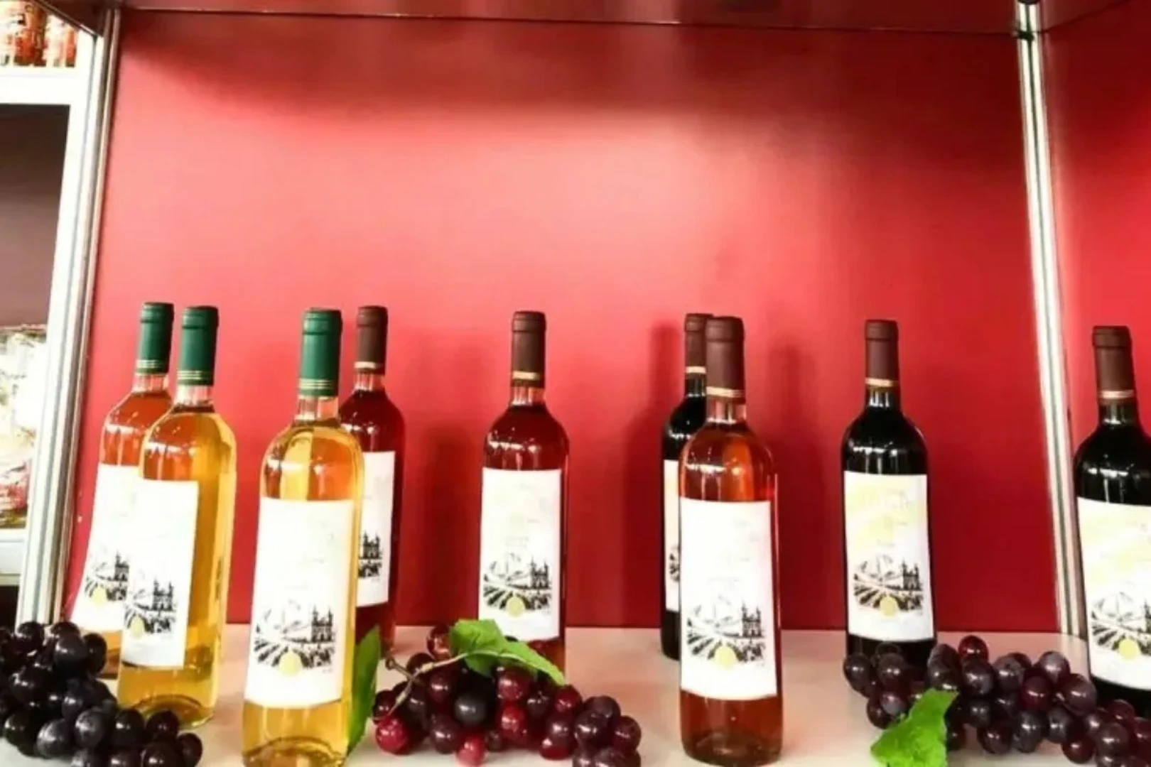 Vinho potiguar. Destilaria Serra de Martins. Foto: Divulgação