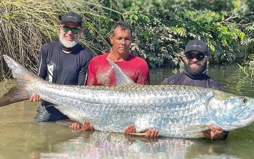 Peixe de 1, 89 metros é pescaado no Rio Sao Francisco foto divulgação