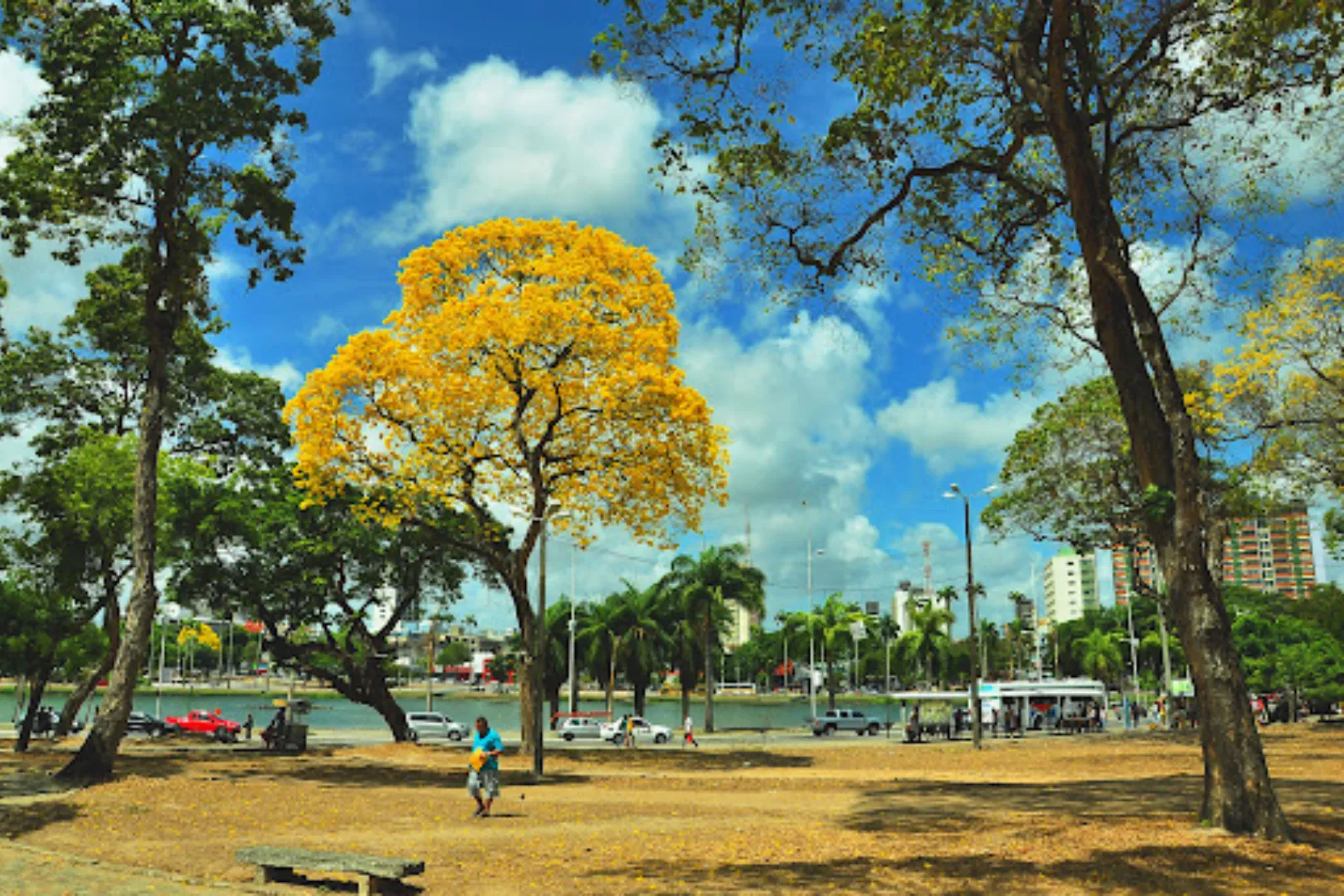 Primavera João Pessoa. Foto_ Secom-JP
