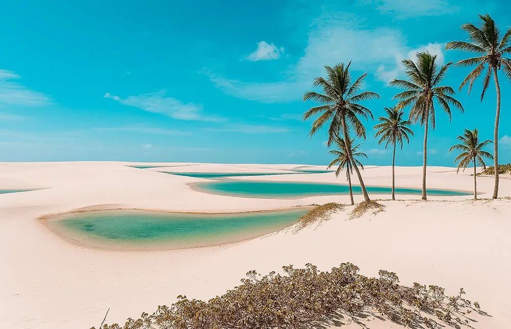 coqueiro, dunas e lagos de agua salgada