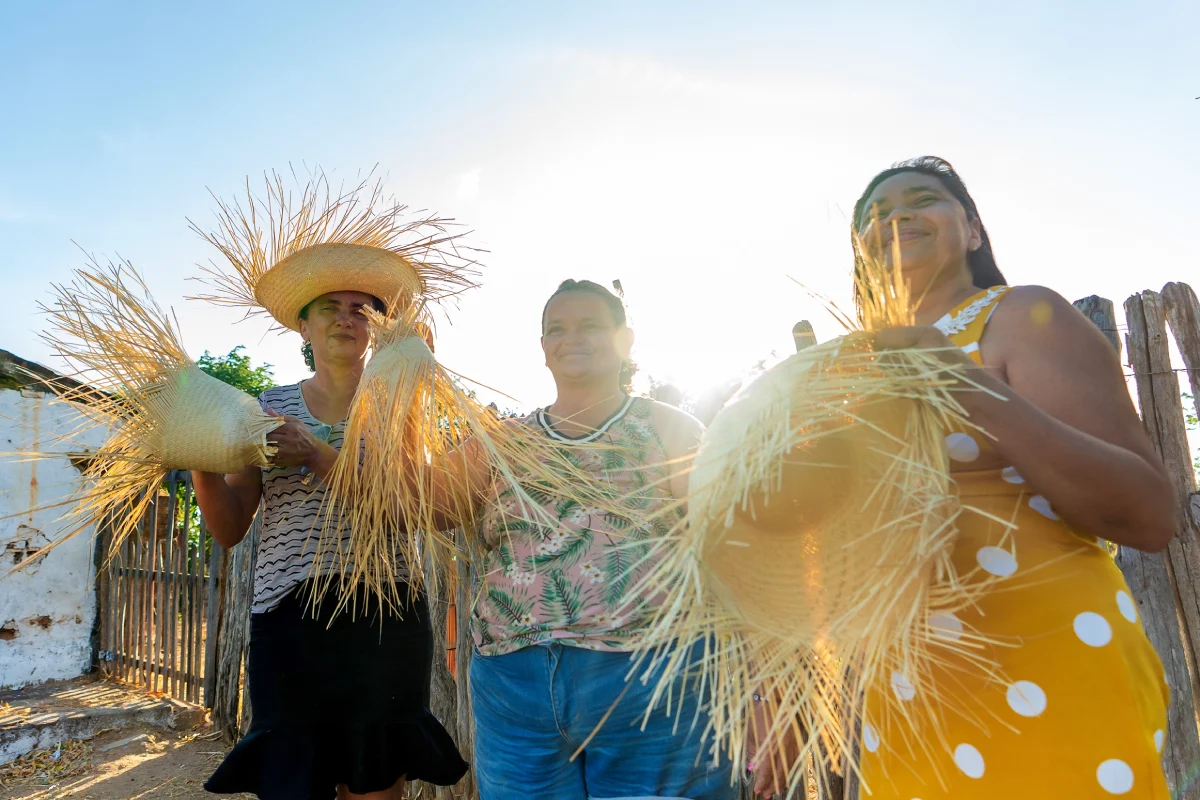 Carnaúba Sustentável - Foto Fábio Arruda Barong