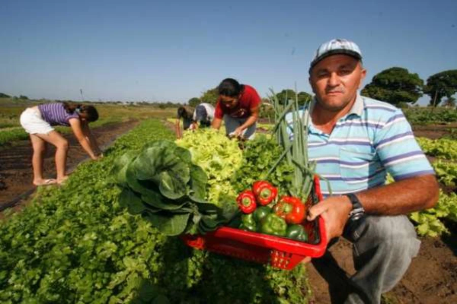 gricultura-familiar FOTO SECOM CE