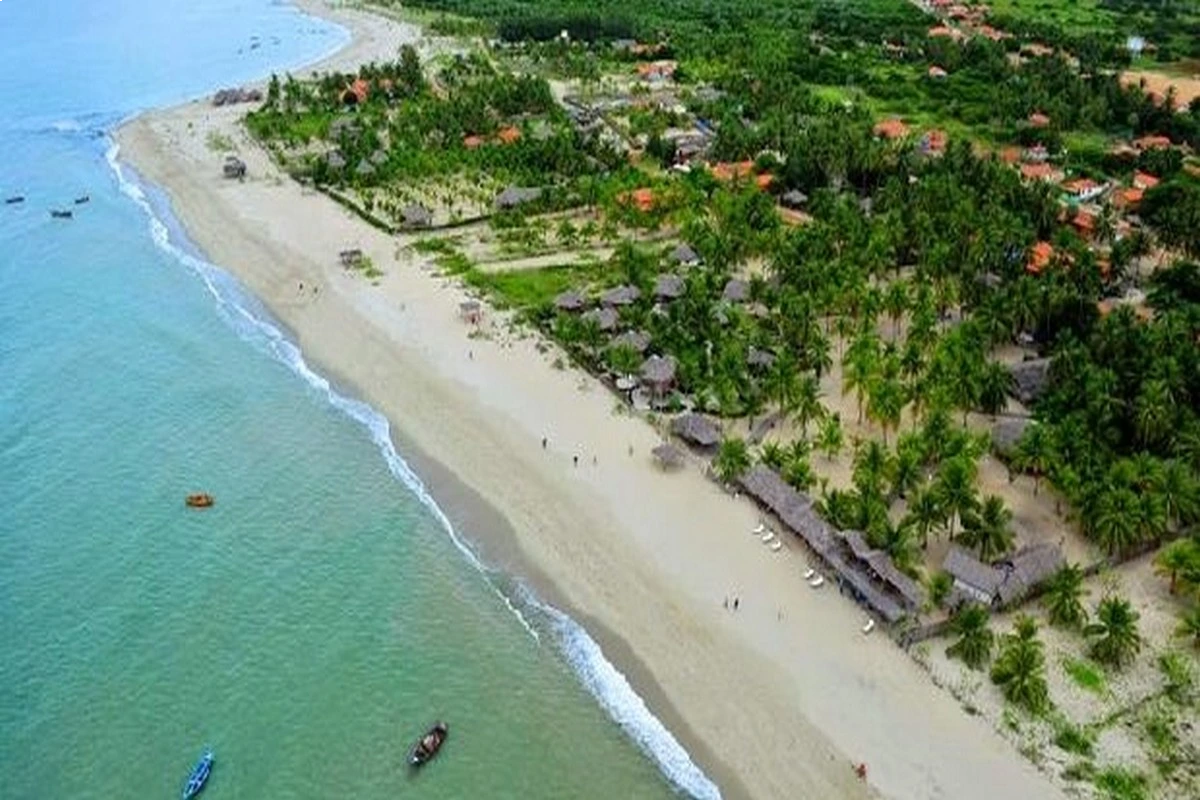 Cajueiro da Praia em Barra Grande foto divulgação