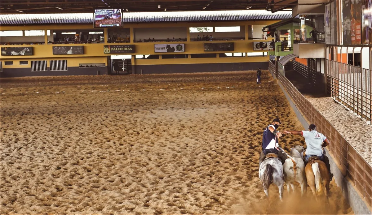 Parque das Palmeiras Largato SE foto divulgação