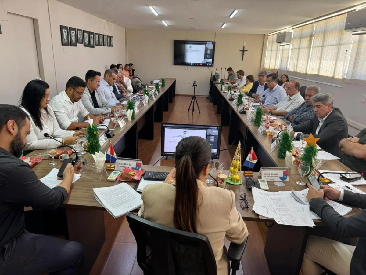 ncentivos foram aprovados durante reunião do Conedes FOTO Anderson Gomes