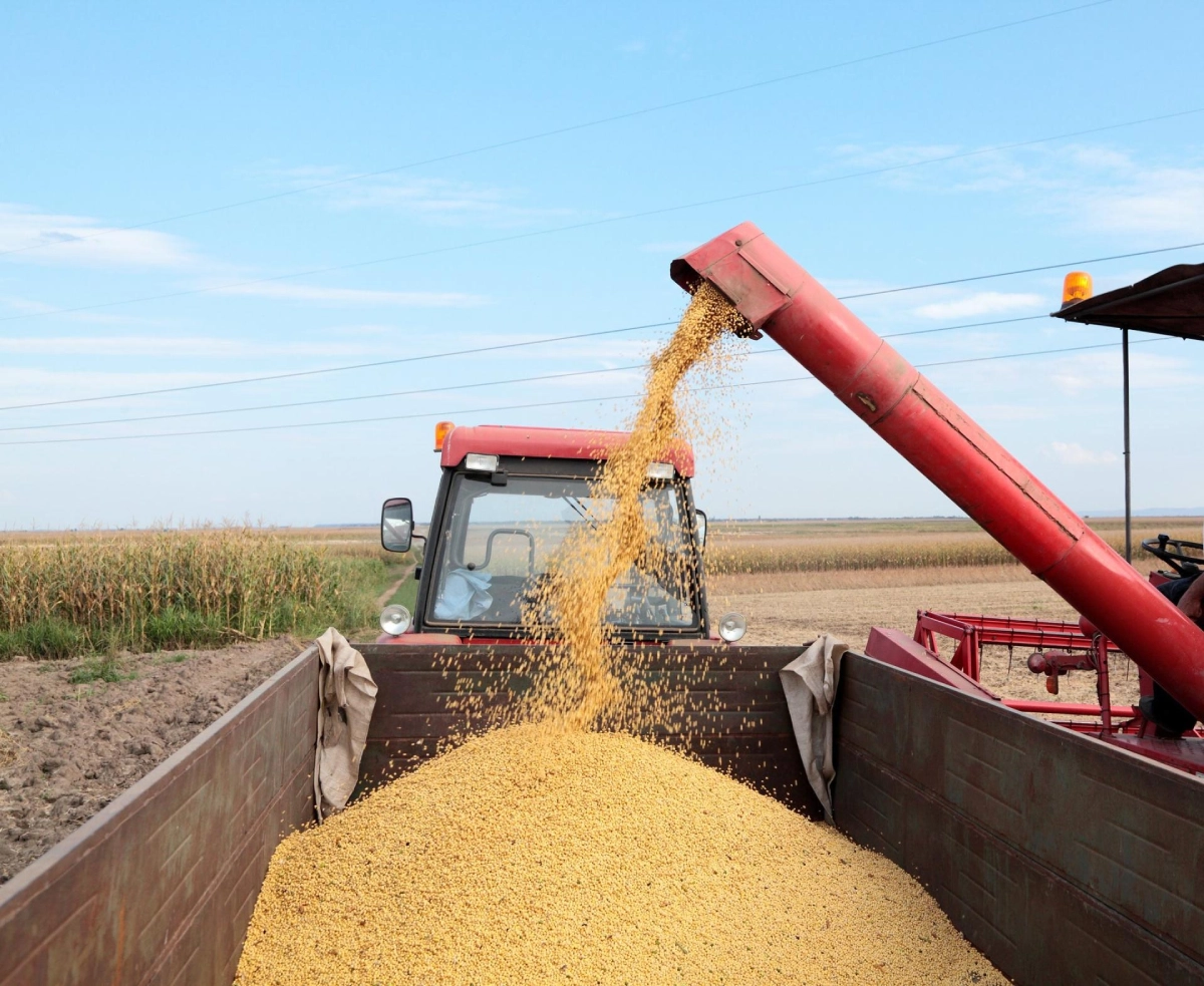 Agro Nordestino foto Banco do Nordeste