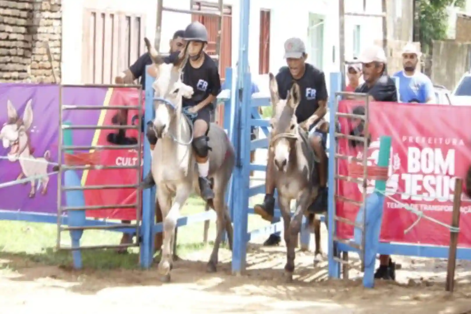 Corrida de Jegues. Foto_ Prefeitura de Bom Jesus