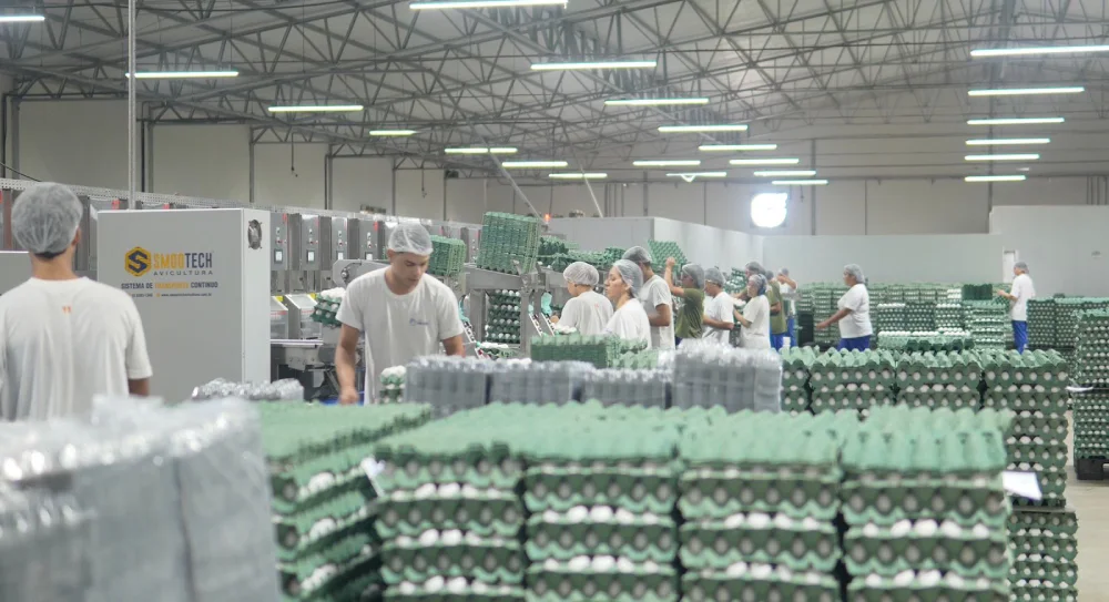 Pacto Pelo Agro_Exportação de ovos_Suape_Daila Santan